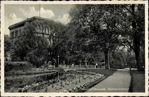 Ak Eberswalde im Kreis Barnim, Forstliche Hochschule