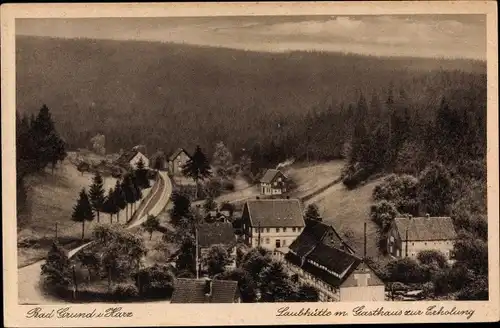 Ak Bad Grund im Harz, Laubhütte mit Gasthaus zur Erholung