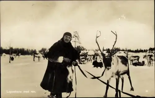 Ak Norwegen, Lappland, Lappekone med ren, Rentier