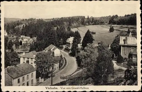 Ak Vielsalm Wallonien Luxemburg, Vue vers Grand Halleux