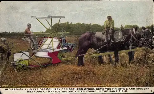 Ak Algerien, Reklame, International Harvester Company of America, Erntemaschine