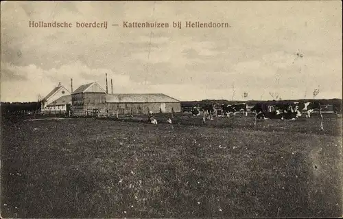 Ak Kattenhuizen bij Hellendoorn Overijssel, Hollandsche boerderij