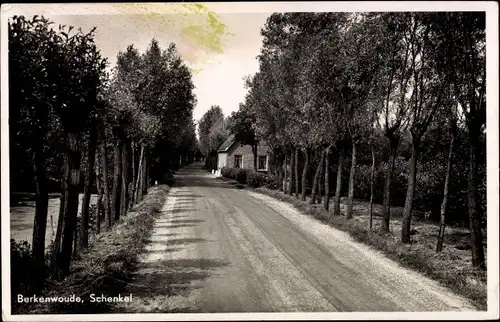 Ak Berkenwoude Südholland, Schenkel