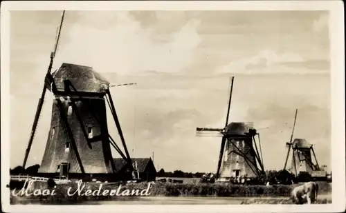 Ak Leidschendam Südholland, Molen, Windmühlen