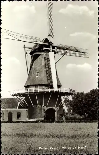 Ak Putten Gelderland Niederlande, Molen Het Hert