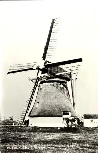 Ak Rijswijk Südholland Niederlande, Schaapweimolen