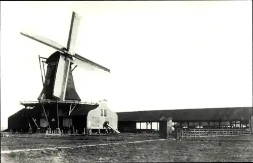 Ak Zaandam Zaanstad Nordholland, Zaagmolen Het Bruine Schaap