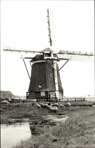 Ak Akersloot Nordholland Niederlande, De Noordermolen, Windmühle