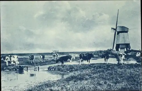 Ak Volendam Nordholland Niederlande, Windmill