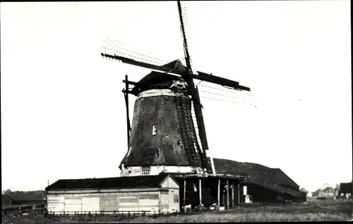 Ak Zaandam Zaanstad Nordholland, Krijtmolen De Grauwe Hengst