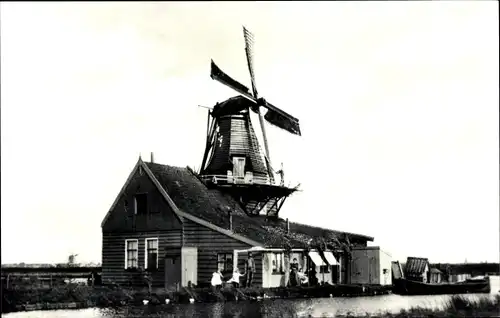 Ak Westzaan Zaanstad Nordholland Niederlande, De Cacaoboom