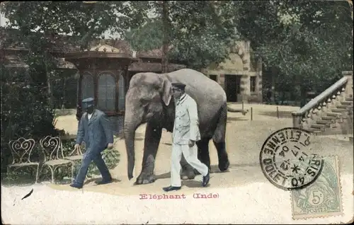 Ak Indischer Elefant mit Tierwärtern im Zoo