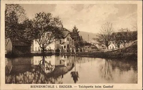 Ak Rechenberg Bienenmühle Erzgebirge, Teichpartie beim Gasthof