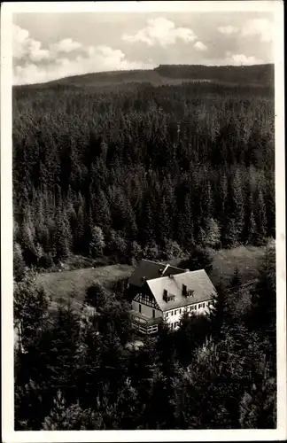 Ak Weißenstadt im Fichtelgebirge, Gaststätte Weißenhaider Mühle, Wald