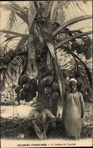 Ak Colonies Africaines, A l'ombre du Cocotier