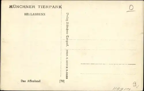 Ak Hellabrunn Harlaching München Bayern, Tierpark Hellabrunn, Das Affenland