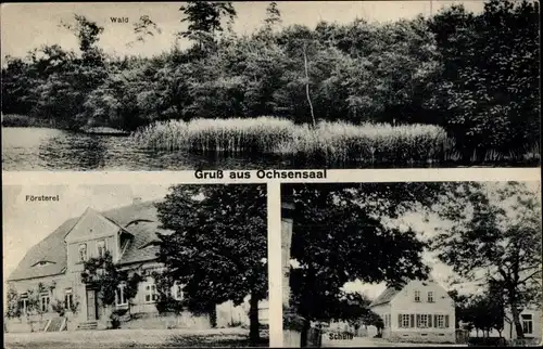 Ak Ochsensaal Dahlen in Sachsen, Försterei, Schule