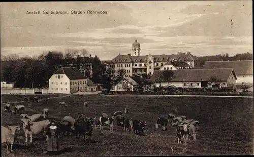 Ak Röhrmoos in Oberbayern, Anstalt Schönbrunn, Rinder, Nonne