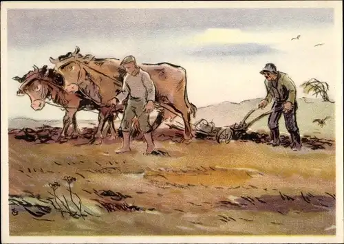 Künstler Ak Rinderpflug auf dem Feld