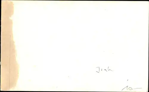 Foto Ak Basra Basrah Irak, Cutting of Dates, Dattelpalmen