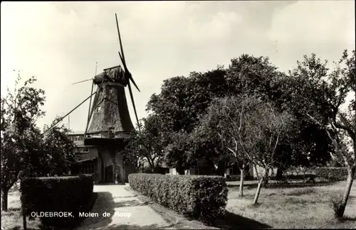 Ak Oldebroek Gelderland, Molen de Hoop