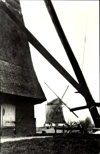 Ak Berkel en Rodenrijs Südholland, Noordmolen en Nieuwe Molen vanaf erf Hoekmolen