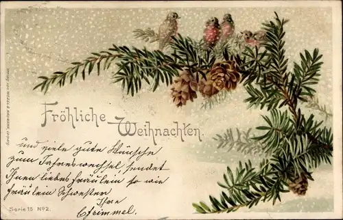 Litho Glückwunsch Weihnachten, Rotkelchen auf Tannenzweig