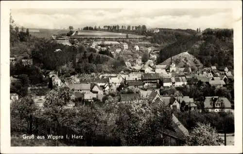 Ak Wippra Sangerhausen am Harz, Panorama