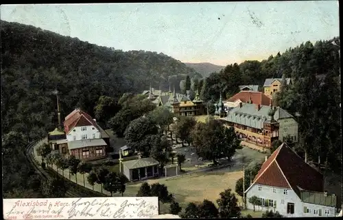 Ak Alexisbad Harzgerode in Sachsen Anhalt, Panorama