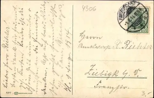 Ak Harzgerode am Harz, Ortsansicht mit Ehrenberg