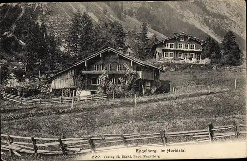 Ak Engelberg Kanton Obwalden Schweiz, Horbistal