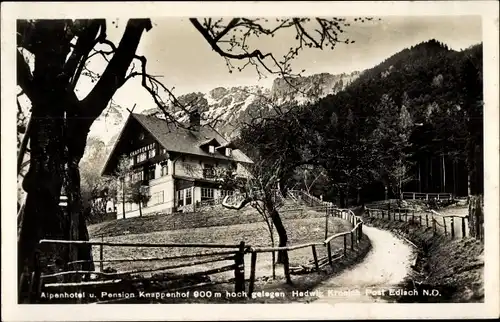 Ak Edlach an der Rax Niederösterreich, Pension Knappenhof