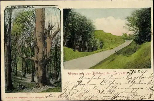 Ak Kröpelin in Mecklenburg, Gruß aus der Kühlung, Landschaft, Baum