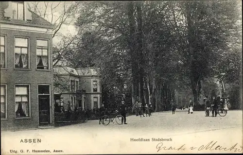 Ak Assen Drenthe Niederlande, Hoofdlaan Stadtsbosch