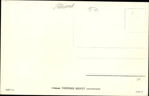 Ak Saltsjöbaden Schweden, Panorama