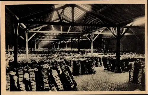 Ak Zeeland, Grootdok, Katoenloodsen, binnenzicht