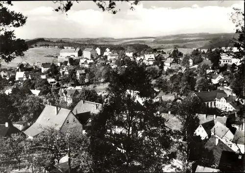 Ak Seiffen im Erzgebirge, Teilansicht