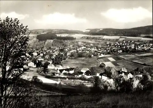 Ak Grünthal Olbernhau im Erzgebirge Sachsen, Panorama