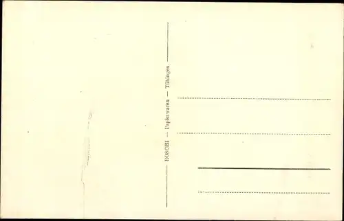 Ak Tübingen am Neckar, Untere Partie am Neckar