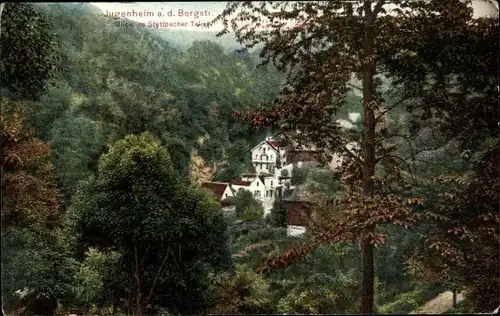 Ak Jugendheim an der Bergstraße, Blick ins Stettbacher Tal