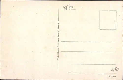 Ak Coswig in Anhalt, Schloss