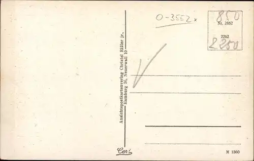 Ak Arendsee in der Altmark, Strandpartie mit Badegästen und Wald