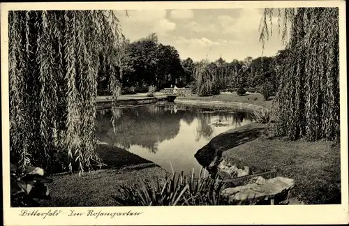 Ak Bitterfeld in Sachsen Anhalt, Im Rosengarten, Grünanlagen