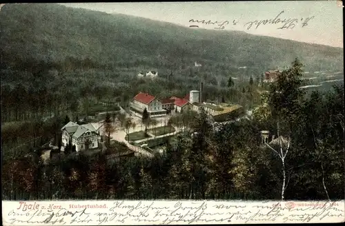 Ak Thale im Harz, Das Hubertusbad mit Waldlandschaft