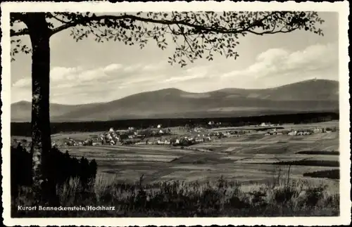 Ak Benneckenstein Oberharz, Panorama