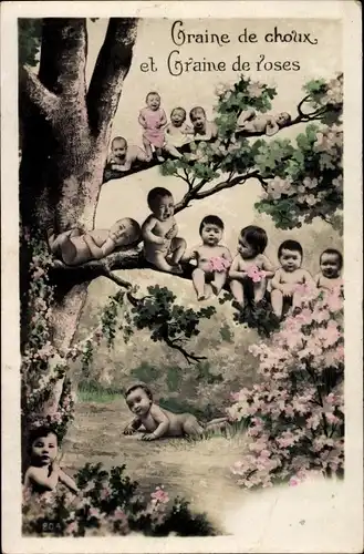 Ak Babys am blühendern Baum, Fotomontage, Craine de choux et Craine de roses