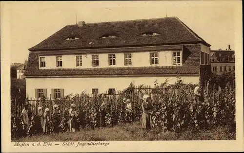 Ak Meißen in Sachsen, Städt. Jugendherberge, Weinanbau