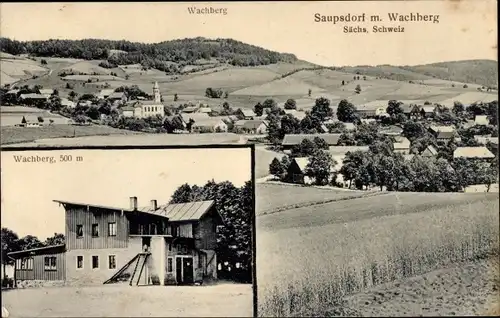 Ak Saupsdorf Sebnitz Sächsische Schweiz, Wachberg, Panorama