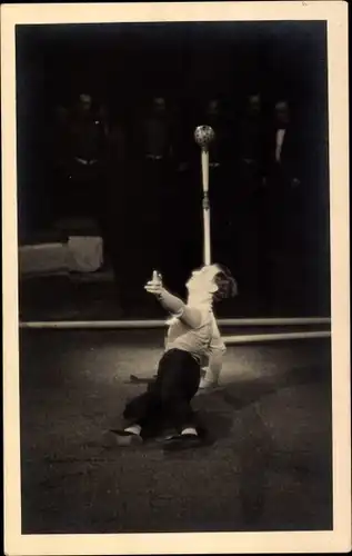 Foto Ak Artist auf der Bühne, Akrobat, Balanceakt, Zirkus