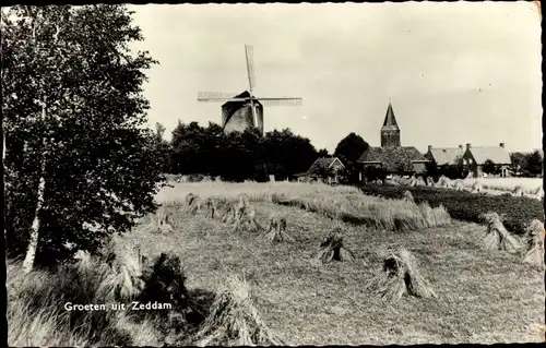 Ak Zeddam Gelderland Niederlande, Teilansicht mit Windmühle, Feld
